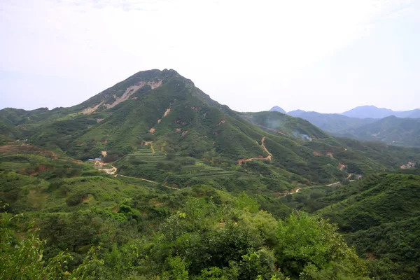 Paisaje verde de la ladera — Foto de Stock