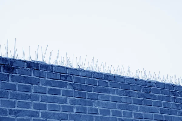 Vidrios rotos en la pared — Foto de Stock