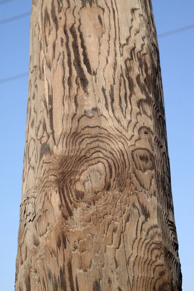 Textura de madera de cerca — Foto de Stock