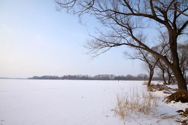 中国北部で雪の荒野 — ストック写真