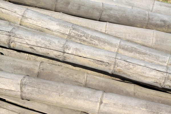 Bambú seco —  Fotos de Stock