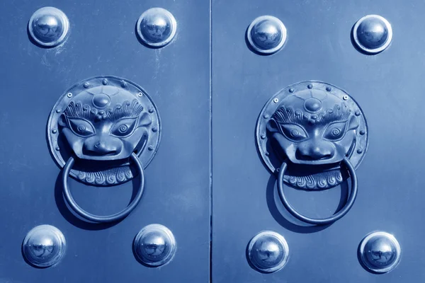 Metal decorations - beast's head — Stock Photo, Image