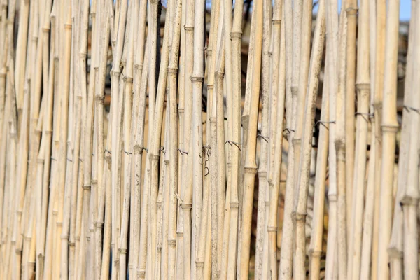 Bamboo fence — Stock Photo, Image