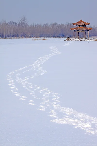 中国北部で雪の荒野 — ストック写真