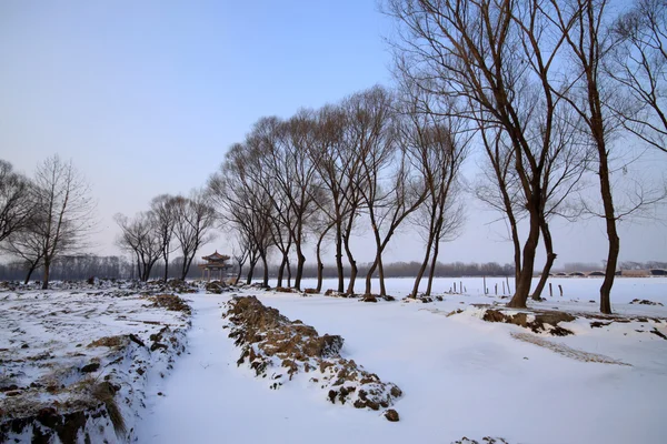 Έρημο χιόνι στην βόρεια Κίνα — Φωτογραφία Αρχείου