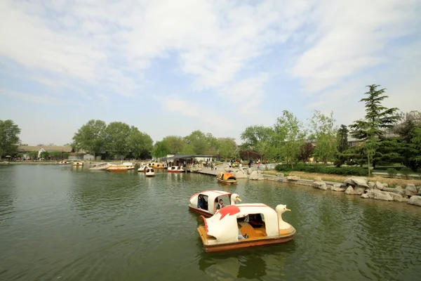 Bir parkta su Peyzaj mimarlığı — Stok fotoğraf