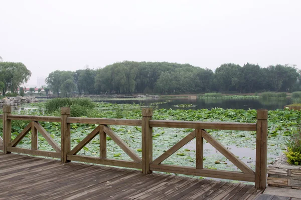 Trä bro — Stockfoto