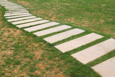 sonbahar bir parkta yol