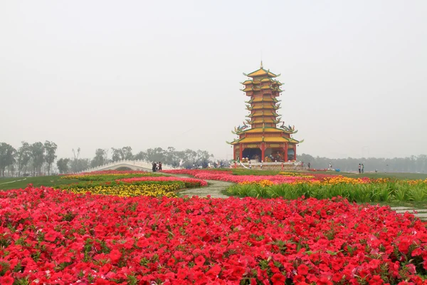 Sześciu harmonii pagoda kwiaty — Zdjęcie stockowe