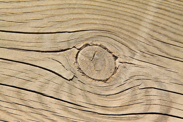 Крупный план картин зерно древесины — стоковое фото
