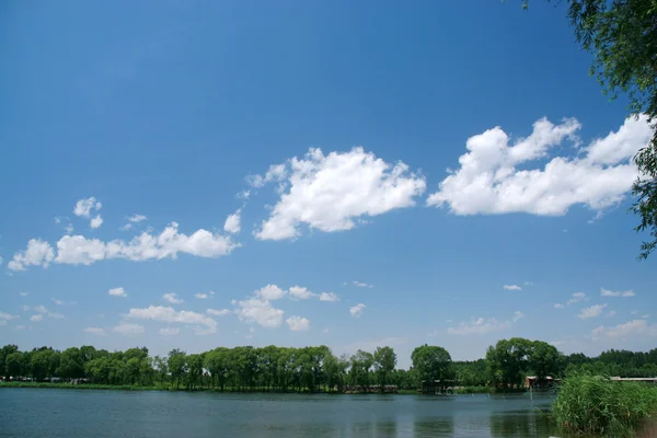 Paisagem do rio sob o céu azul — Fotografia de Stock