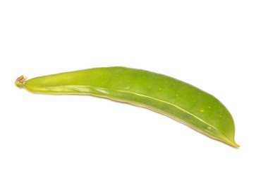 fasulye