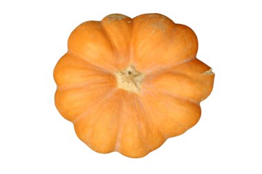 Balkabağına yaklaş.