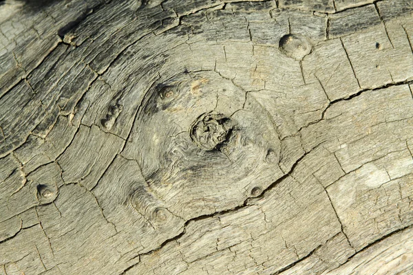 Textura de madeira — Fotografia de Stock