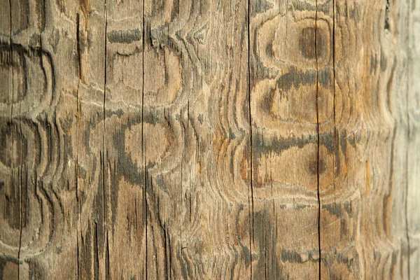 Wood texture — Stock Photo, Image