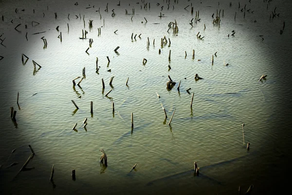 Pond boundary in the rural areas, north china — Stock Photo, Image