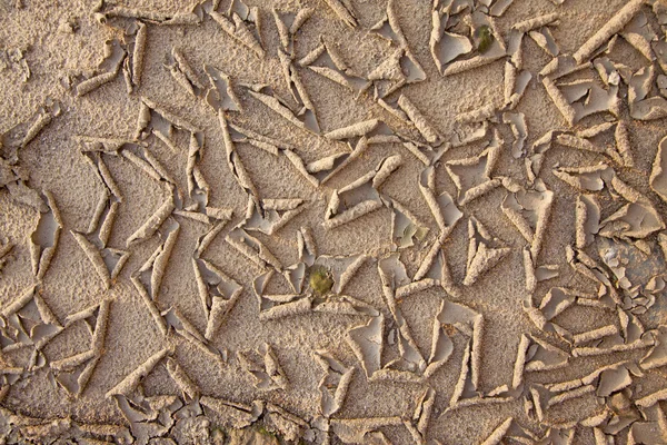 Textura seca e seca da terra — Fotografia de Stock