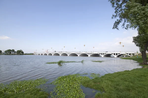 Мост через реку в городском парке — стоковое фото