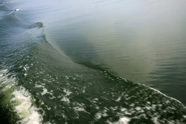 水面の波紋 — ストック写真