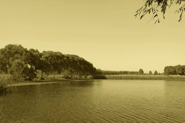 中国の池の景観 — ストック写真