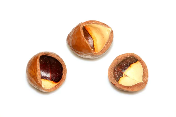 Avellanas nueces — Foto de Stock