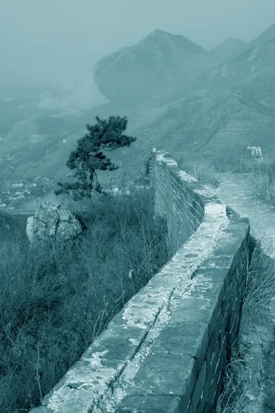 La ecología original del gran paso de la pared — Foto de Stock