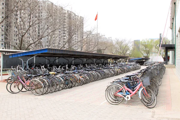 Rows of bicycles — Stock Photo, Image