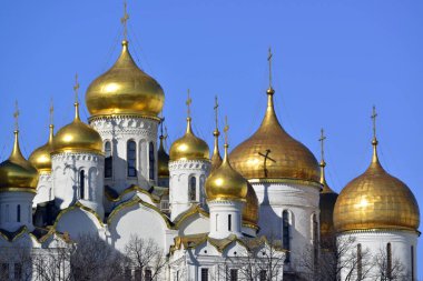 Moskova Kremlin katedrallerinin altın kubbeleri