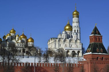 Moskova Kremlin katedrallerinin altın kubbeleri