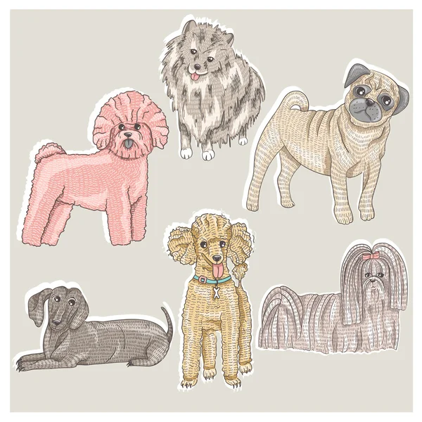 Set of cute little breed dogs. Bichon, pug, spitz, dachshund, po — Stock Vector