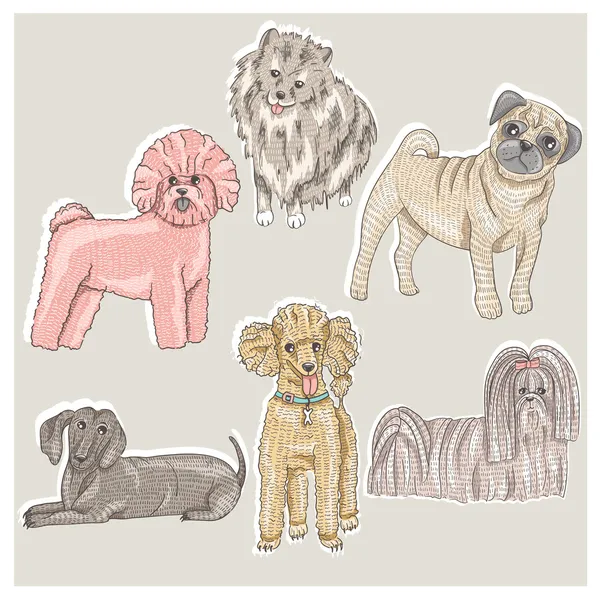 Conjunto de lindos perritos de raza. Bichon, pug, spitz, dachshund, po — Vector de stock