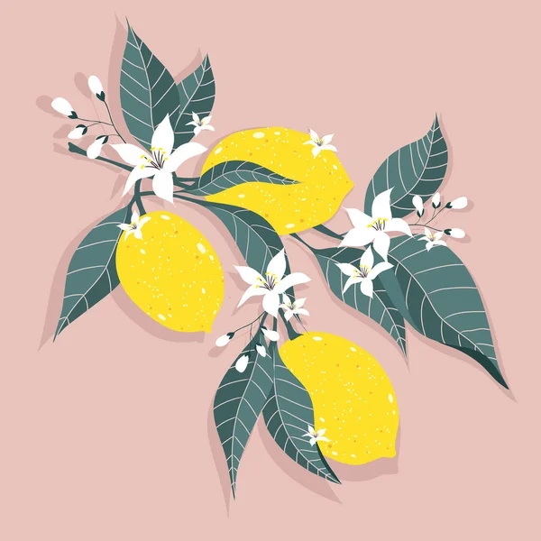 Meyveli Çiçekli Limon Dalı Citrus Meyve Arka Planı — Stok Vektör
