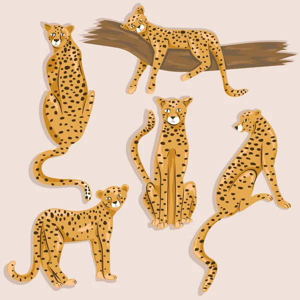 Geparden Illustrationsset Vorhanden Niedliche Tiere — Stockvektor