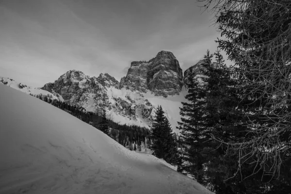 Черно-белая панорама северной стороны горы Пельмо в зимних условиях — стоковое фото