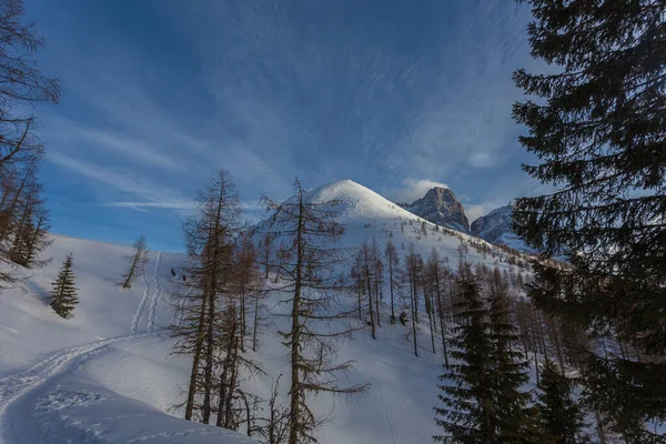 Schneebedeckter Gipfel umgeben von Lärchen und Monte Pelmo bei Sonnenuntergang — Stockfoto