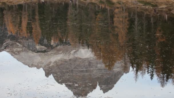 Tre Cime picos e Outono árvores coloridas reflexões no Lago dAntorno — Vídeo de Stock