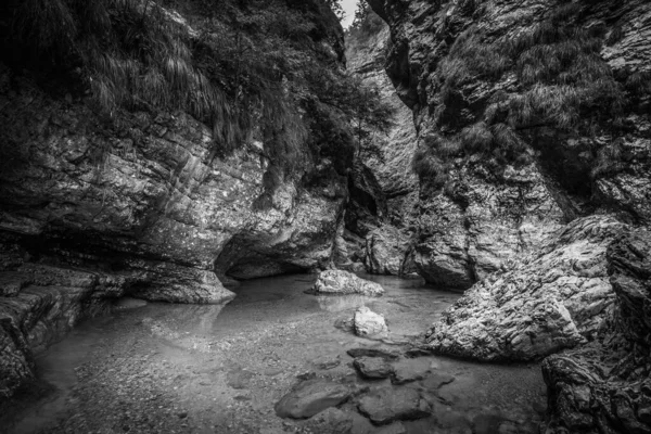 Aguas cristalinas y transparentes en el fondo de un desfiladero rocoso, Dolomitas — Foto de Stock