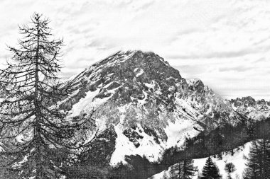 Kış koşullarında Antelao Dağı 'nın kömür tekniğiyle illüstrasyon