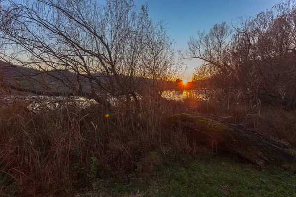 Pěkný podzimní západ slunce na jezeře vidět skrz padlý strom v houští — Stock fotografie