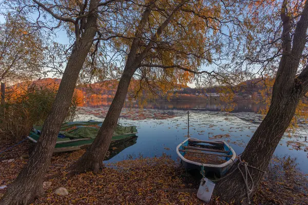 Staré lodě kotvící na stromech na břehu jezera během podzimního západu slunce — Stock fotografie