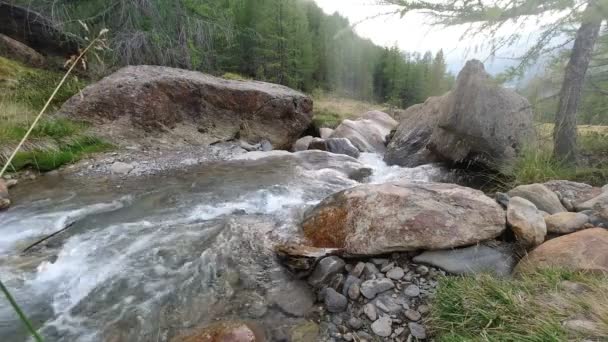 Hegyi folyó folyik keresztül nagy kő sziklák egy erdőben — Stock videók