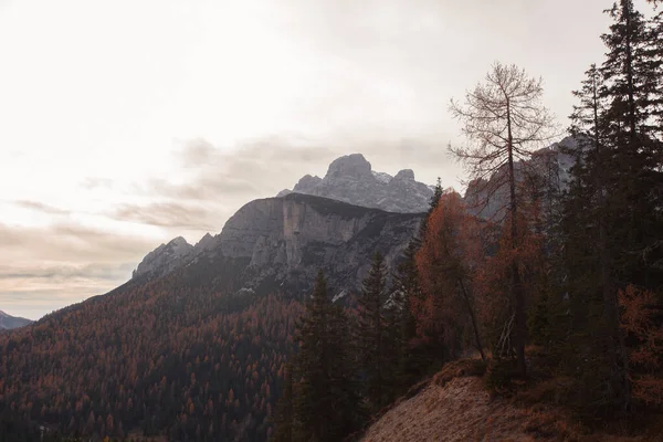 Årstidernas höst landskap i Dolomiterna — Stockfoto