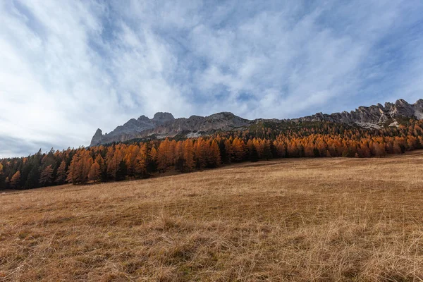 Herbstliche farbenfrohe Lärchen am Fuße der wunderschönen Dolomitenwände — Stockfoto