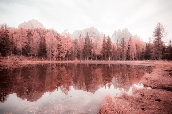 Reflection of larches and dolomitic peaks lake. Color fantasy effect photo — 图库照片