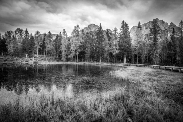 Panorama jezera a stromů v Dolomitech. Fotografie efektu černobílé — Stock fotografie