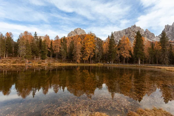 Reflexion der herbstlichen Lärchen und Tannen am Dolomitensee — Stockfoto