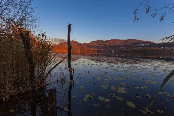 Rozšíření leknínů na jezeře během podzimního západu slunce — Stock fotografie