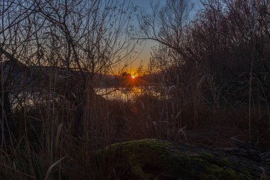Gölde güzel bir sonbahar günbatımı Ağaç dalları ve sazlıkların arasından görülebiliyor