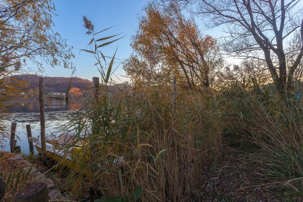Reed houští na břehu jezera během podzimního západu slunce — Stock fotografie