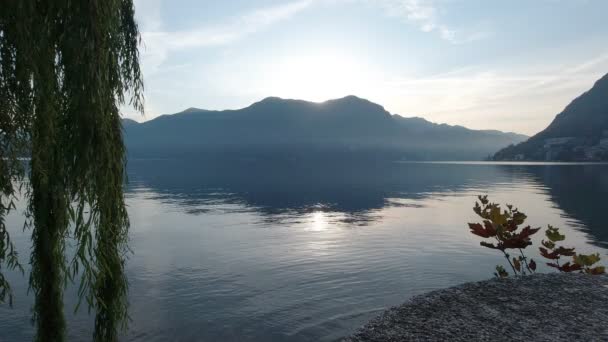 Alba sul Lago di Lugano con salice — Video Stock